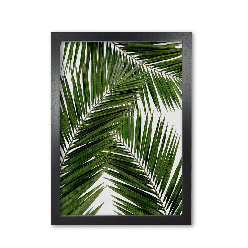 Palm leaf iii fine art print by orara studio, framed botanical &