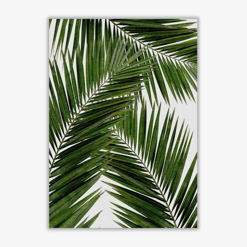 Palm leaf iii fine art print by orara studio, framed botanical &