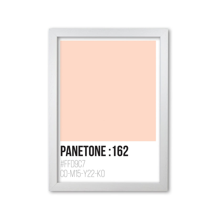 Panetone colours 162 modern fine art print