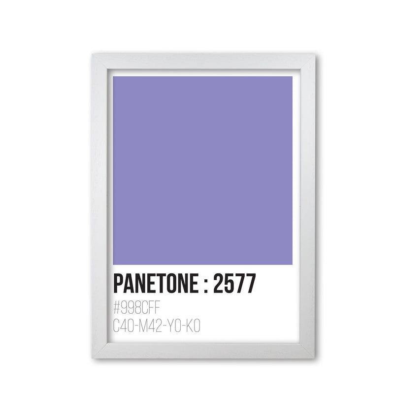 Panetone colours 2577 modern fine art print