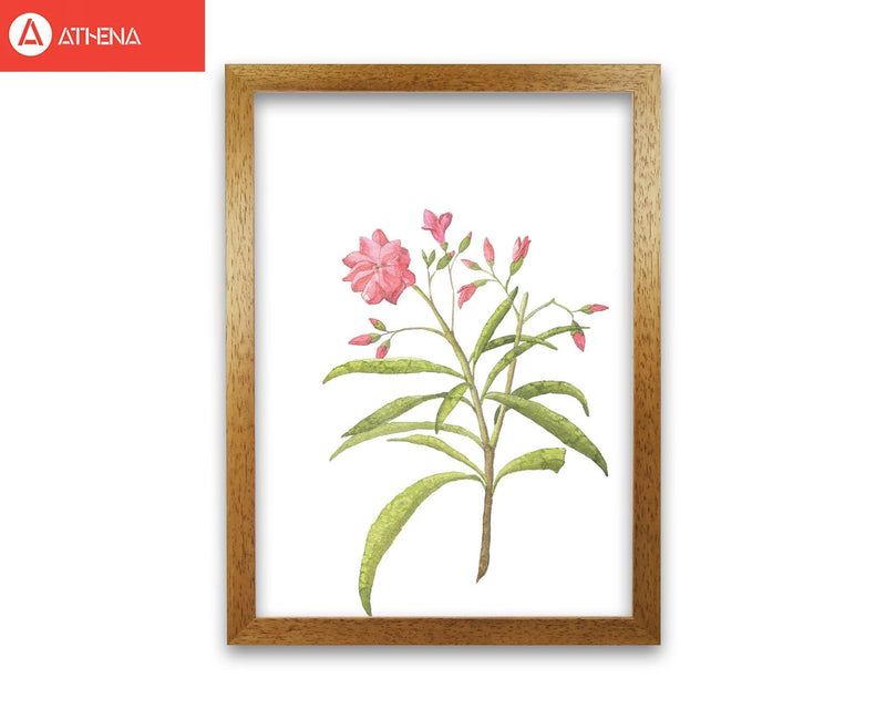 Pink flower modern fine art print, framed botanical &