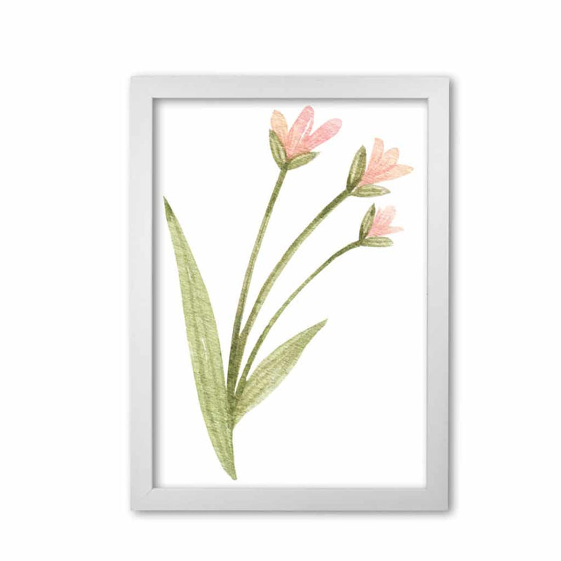 Pink watercolour flower 1 modern fine art print