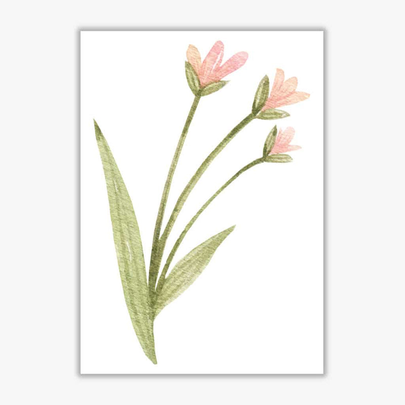 Pink watercolour flower 1 modern fine art print