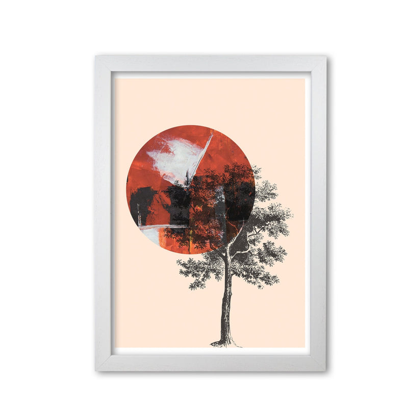 Red sun and tree abstract modern fine art print