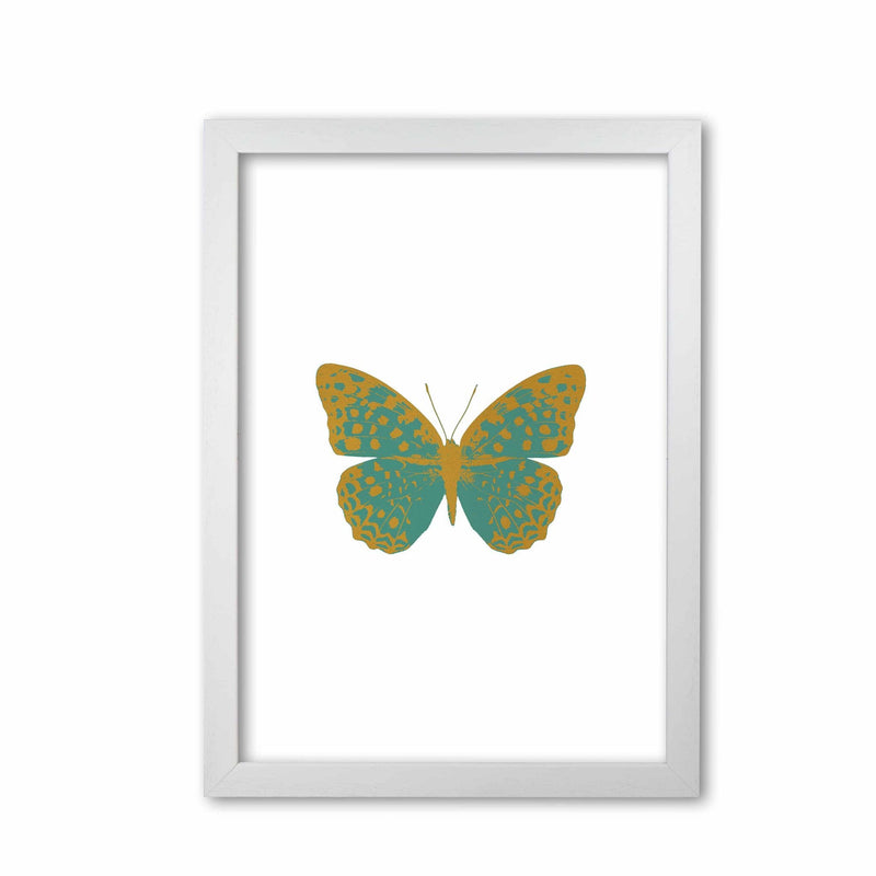 Teal butterfly fine art print by orara studio
