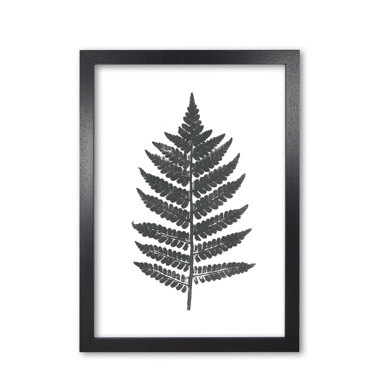 Vintage fern modern fine art print, framed botanical &