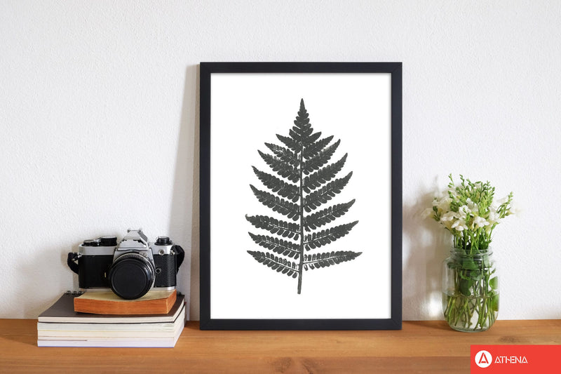 Vintage fern modern fine art print, framed botanical &