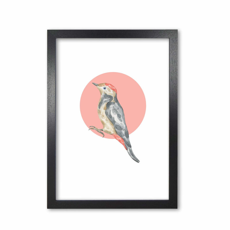 Watercolour bird with red circle modern fine art print